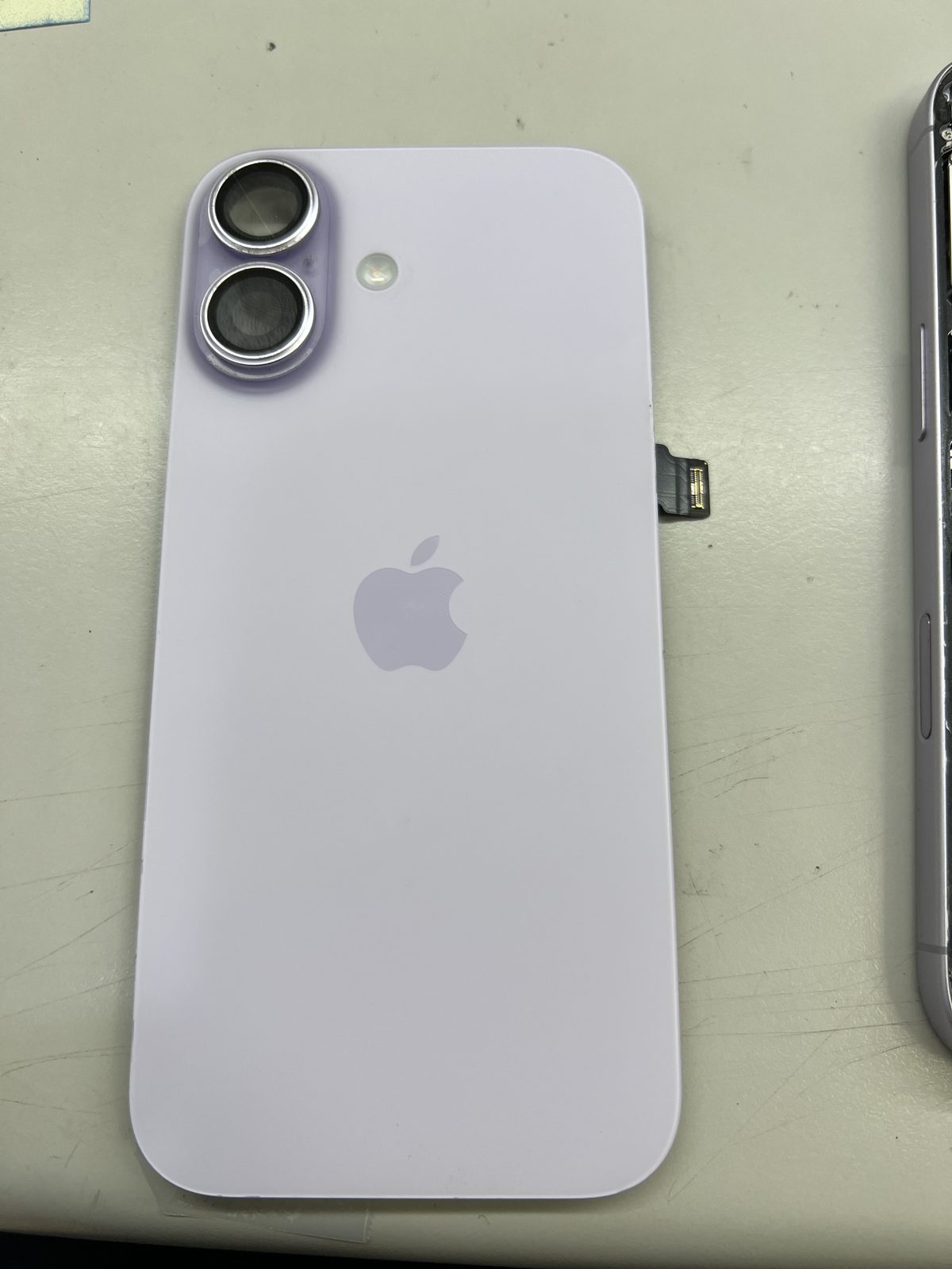 iPhone 16 取下破損背蓋後的機身內部，可見電池與主機板